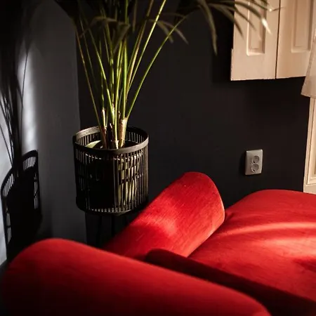Appartement Rudi és Fickó *